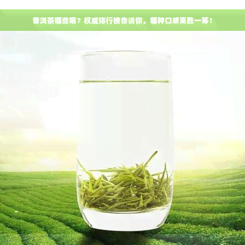 普洱茶哪些喝？权威排行榜告诉你，哪种口感更胜一筹！