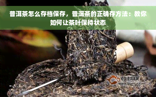 普洱茶怎么存档保存，普洱茶的正确存方法：教你如何让茶叶保持状态