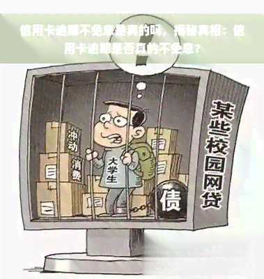 信用卡逾期不免息是真的吗，揭秘真相：信用卡逾期是否真的不免息？