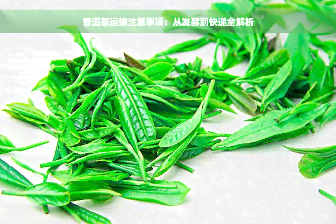 普洱茶运输注意事项：从发酵到快递全解析