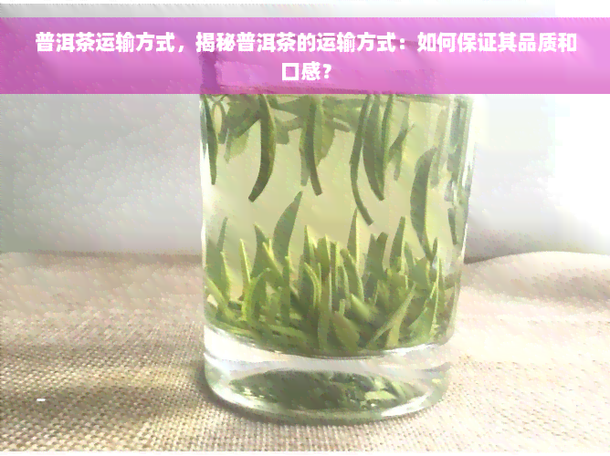 普洱茶运输方式，揭秘普洱茶的运输方式：如何保证其品质和口感？