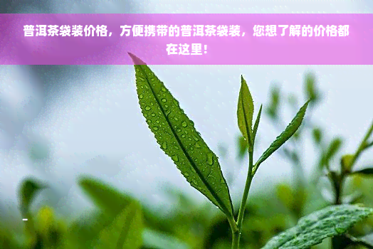 普洱茶袋装价格，方便携带的普洱茶袋装，您想了解的价格都在这里！