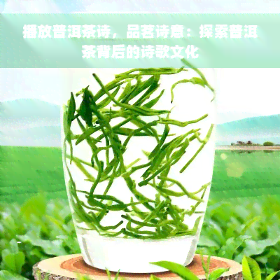 播放普洱茶诗，品茗诗意：探索普洱茶背后的诗歌文化