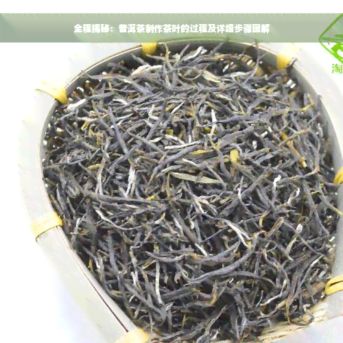 全程揭秘：普洱茶制作茶叶的过程及详细步骤图解