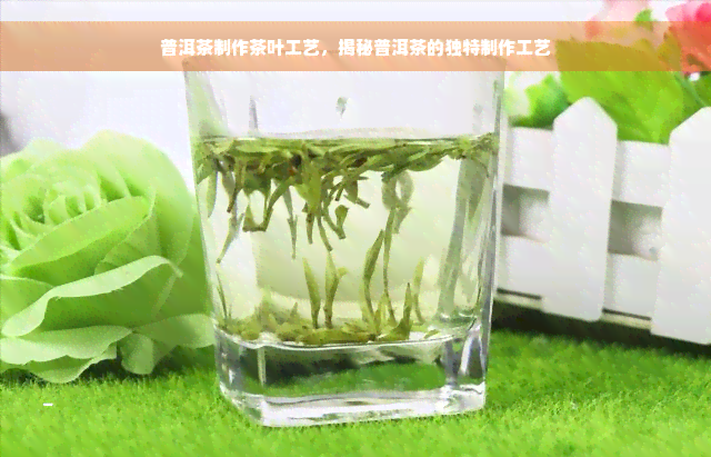 普洱茶制作茶叶工艺，揭秘普洱茶的独特制作工艺