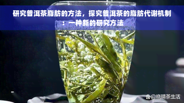 研究普洱茶脂肪的方法，探究普洱茶的脂肪代谢机制：一种新的研究方法