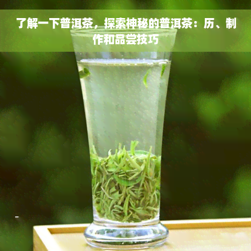 了解一下普洱茶，探索神秘的普洱茶：历、制作和品尝技巧