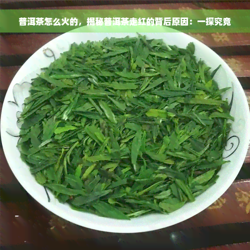 普洱茶怎么火的，揭秘普洱茶走红的背后原因：一探究竟