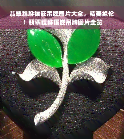 翡翠貔貅镶嵌吊牌图片大全，精美绝伦！翡翠貔貅镶嵌吊牌图片全览