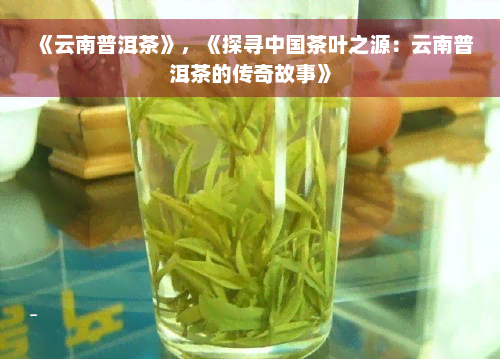 《云南普洱茶》，《探寻中国茶叶之源：云南普洱茶的传奇故事》