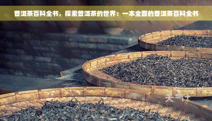 普洱茶百科全书，探索普洱茶的世界：一本全面的普洱茶百科全书