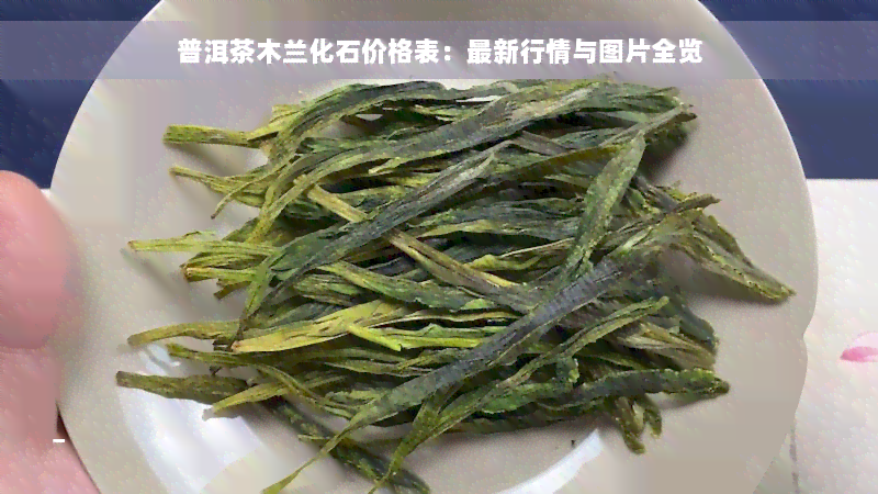 普洱茶木兰化石价格表：最新行情与图片全览