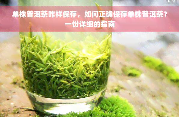 单株普洱茶咋样保存，如何正确保存单株普洱茶？一份详细的指南