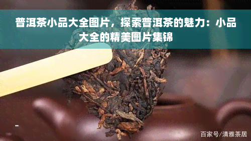 普洱茶小品大全图片，探索普洱茶的魅力：小品大全的精美图片集锦