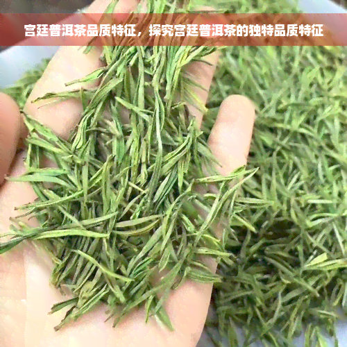 宫廷普洱茶品质特征，探究宫廷普洱茶的独特品质特征