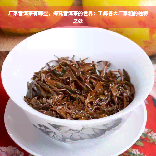 厂家普洱茶有哪些，探究普洱茶的世界：了解各大厂家和的独特之处