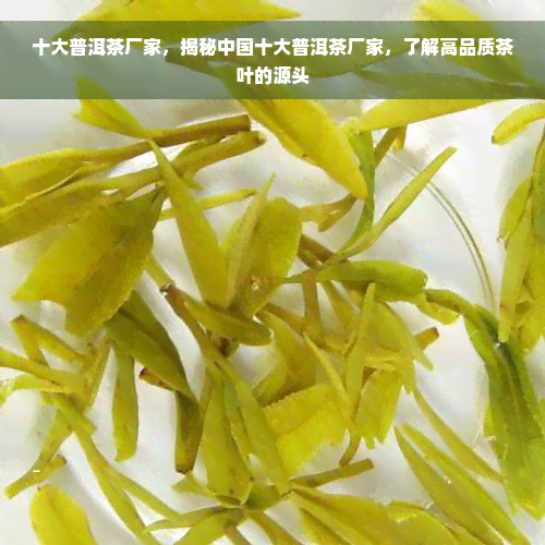 十大普洱茶厂家，揭秘中国十大普洱茶厂家，了解高品质茶叶的源头