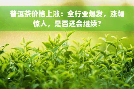 普洱茶价格上涨：全行业爆发，涨幅惊人，是否还会继续？