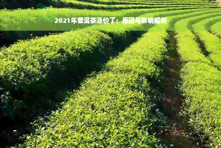 2021年普洱茶涨价了：原因与影响解析