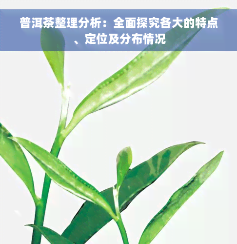 普洱茶整理分析：全面探究各大的特点、定位及分布情况