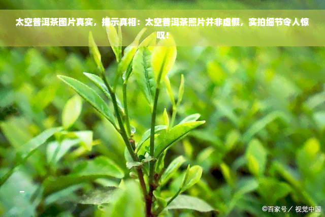 太空普洱茶图片真实，揭示真相：太空普洱茶照片并非虚假，实拍细节令人惊叹！