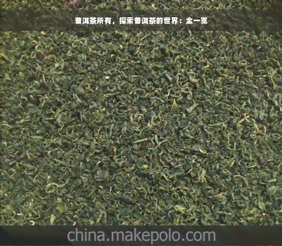 普洱茶所有，探索普洱茶的世界：全一览