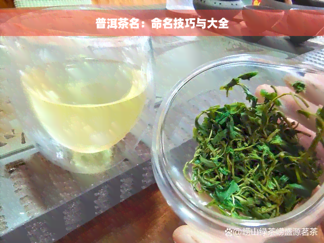 普洱茶名：命名技巧与大全