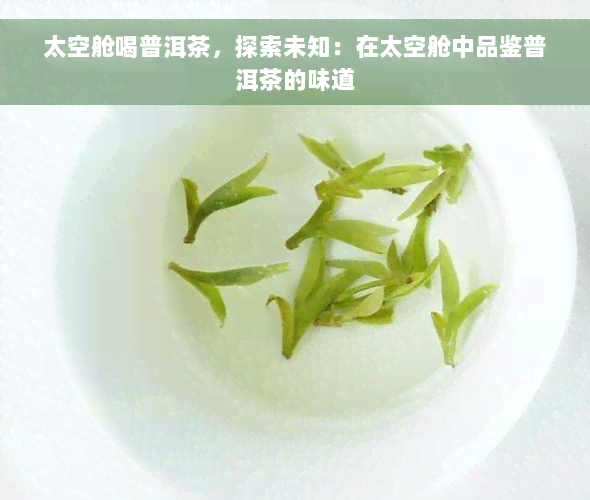 太空舱喝普洱茶，探索未知：在太空舱中品鉴普洱茶的味道