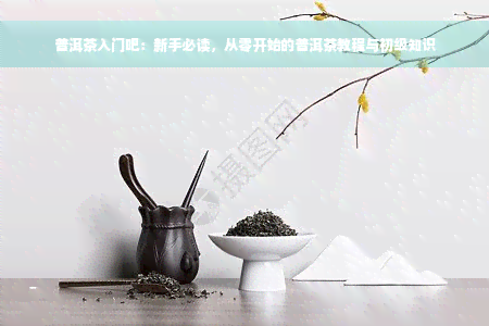 普洱茶入门吧：新手必读，从零开始的普洱茶教程与初级知识