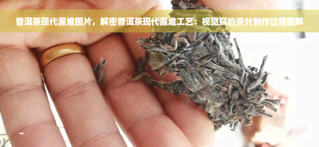 普洱茶现代渥堆图片，解密普洱茶现代渥堆工艺：视觉宴的茶叶制作过程图解