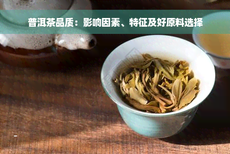 普洱茶品质：影响因素、特征及好原料选择