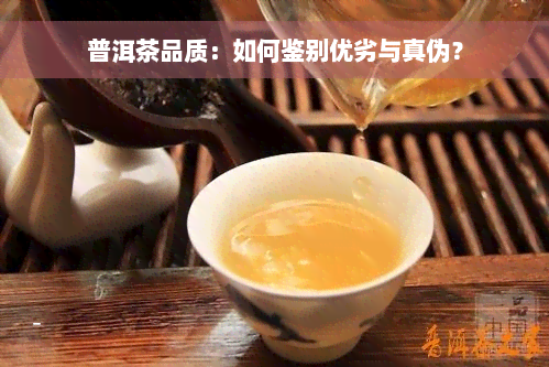 普洱茶品质：如何鉴别优劣与真伪？