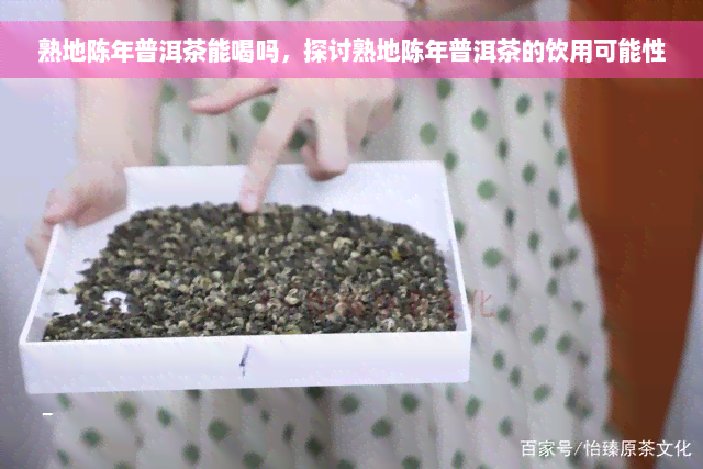 熟地陈年普洱茶能喝吗，探讨熟地陈年普洱茶的饮用可能性