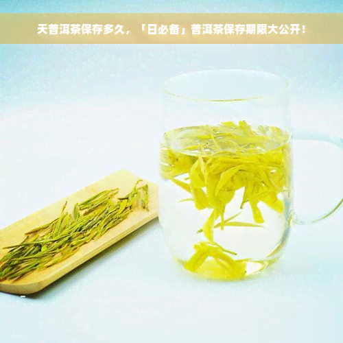 天普洱茶保存多久，「日必备」普洱茶保存期限大公开！