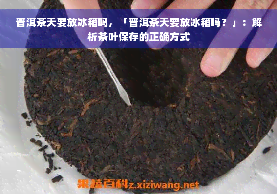 普洱茶天要放冰箱吗，「普洱茶天要放冰箱吗？」：解析茶叶保存的正确方式