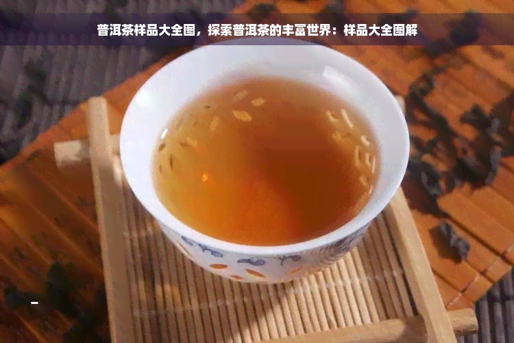 普洱茶样品大全图，探索普洱茶的丰富世界：样品大全图解