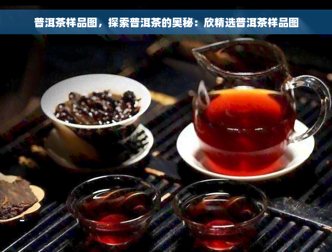 普洱茶样品图，探索普洱茶的奥秘：欣精选普洱茶样品图