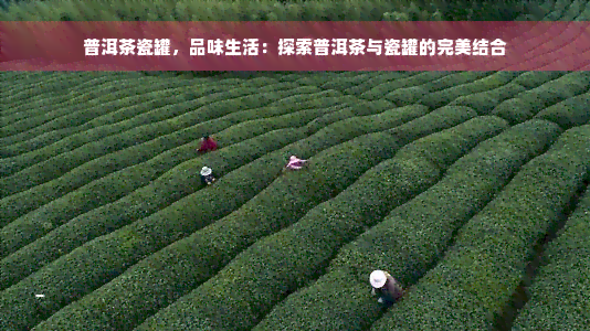 普洱茶瓷罐，品味生活：探索普洱茶与瓷罐的完美结合