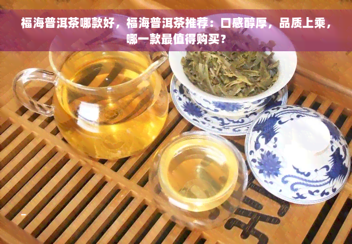 福海普洱茶哪款好，福海普洱茶推荐：口感醇厚，品质上乘，哪一款最值得购买？