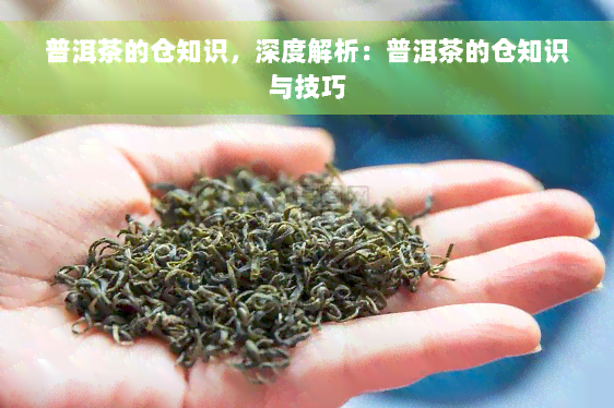 普洱茶的仓知识，深度解析：普洱茶的仓知识与技巧