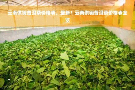 云南供销普洱茶价格表，最新！云南供销普洱茶价格表全览