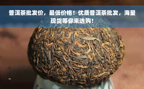 普洱茶批发价，更低价格！优质普洱茶批发，海量现货等你来选购！