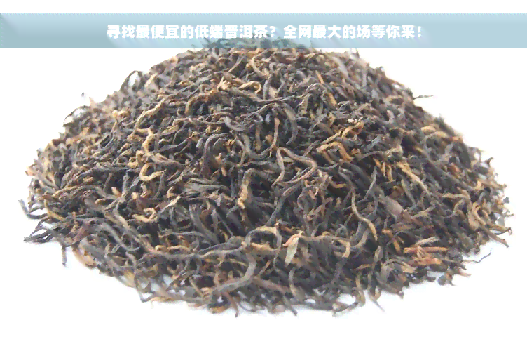 寻找更便宜的低端普洱茶？全网更大的场等你来！