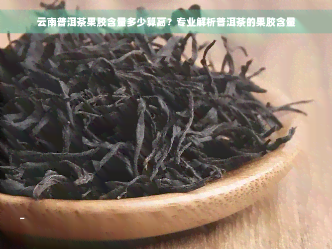 云南普洱茶果胶含量多少算高？专业解析普洱茶的果胶含量