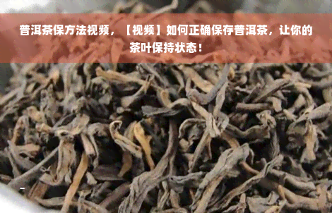 普洱茶保方法视频，【视频】如何正确保存普洱茶，让你的茶叶保持状态！