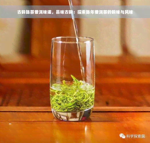 古韵陈茶普洱味道，品味古韵：探索陈年普洱茶的韵味与风味