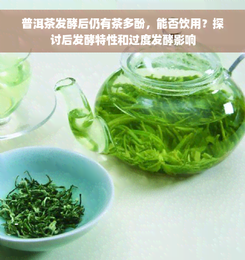 普洱茶发酵后仍有茶多酚，能否饮用？探讨后发酵特性和过度发酵影响