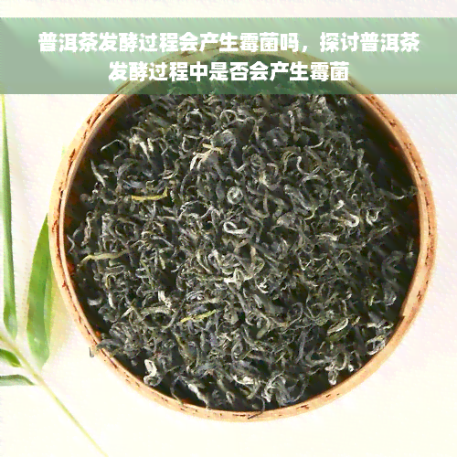 普洱茶发酵过程会产生霉菌吗，探讨普洱茶发酵过程中是否会产生霉菌