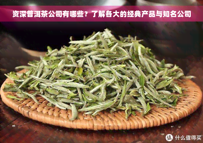 资深普洱茶公司有哪些？了解各大的经典产品与知名公司