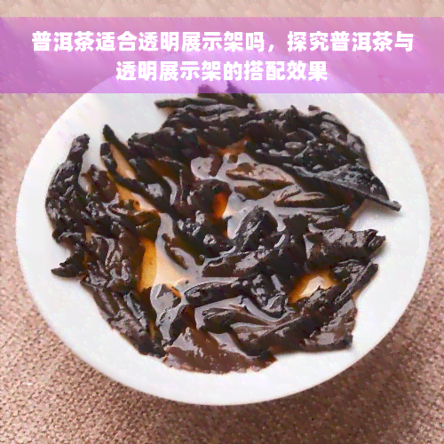 普洱茶适合透明展示架吗，探究普洱茶与透明展示架的搭配效果